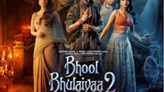 Bhool_Bhulaiyaa_2_film_poster